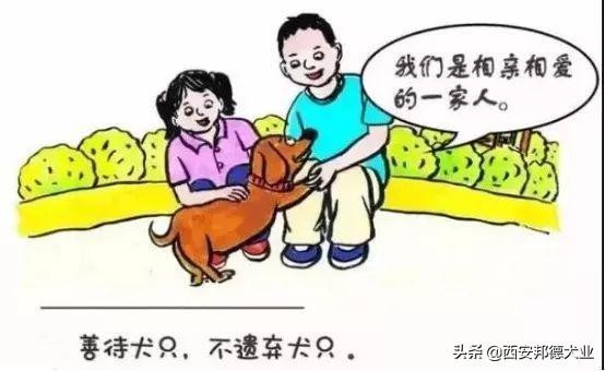 如何文明养犬养狗这几点很重要