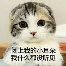 铲屎官和猫咪相处久了也会互相嫌弃吗