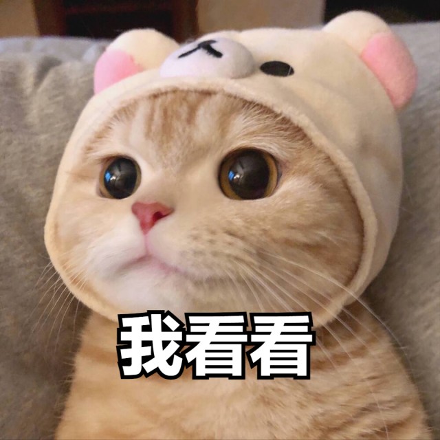 盘点明星养的猫，陆毅家的最贵，你养同款了吗？