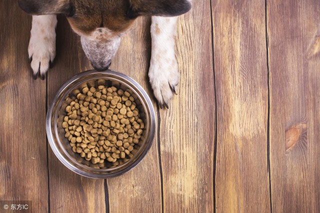 做好这4步，从此让你家狗狗爱上吃狗粮！